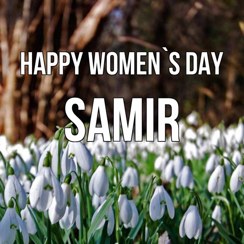 Greetings card с именем, Samir happy women`s day с подснежниками 1 Greetings with text for free download 